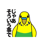 セキセイインコ いろいろ（個別スタンプ：11）