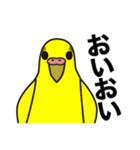 セキセイインコ いろいろ（個別スタンプ：16）