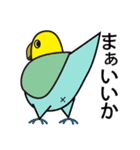 セキセイインコ いろいろ（個別スタンプ：22）