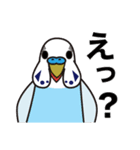 セキセイインコ いろいろ（個別スタンプ：29）