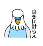 セキセイインコ いろいろ（個別スタンプ：31）