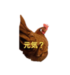 あんこときなこ プチコッコ（個別スタンプ：1）