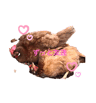 あんこときなこ プチコッコ（個別スタンプ：3）
