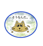 野良猫君のつぶやき集（個別スタンプ：7）