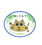 野良猫君のつぶやき集（個別スタンプ：15）