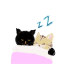 猫のカップルのLove life！（個別スタンプ：27）