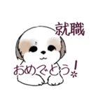 Stickers_Shih Tzu_i シーズースタンプ春（個別スタンプ：4）