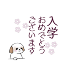 Stickers_Shih Tzu_i シーズースタンプ春（個別スタンプ：7）