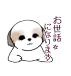 Stickers_Shih Tzu_i シーズースタンプ春（個別スタンプ：18）