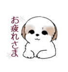 Stickers_Shih Tzu_i シーズースタンプ春（個別スタンプ：28）