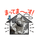 ぴっころのスタンプ3（個別スタンプ：6）