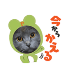 ぴっころのスタンプ3（個別スタンプ：7）