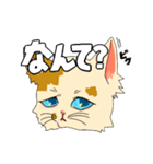 あざと茶猫（個別スタンプ：5）