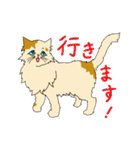 あざと茶猫（個別スタンプ：25）