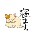 あざと茶猫（個別スタンプ：26）