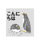 神在月のペンギンスタンプ13（個別スタンプ：4）