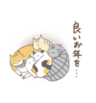 ねこねこイベントスタンプ（個別スタンプ：13）