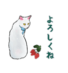 しろねこといちご【修正版】（個別スタンプ：6）