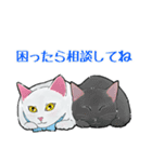 しろねこといちご【修正版】（個別スタンプ：8）