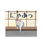 しろねこといちご【修正版】（個別スタンプ：17）