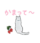 しろねこといちご【修正版】（個別スタンプ：18）