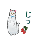 しろねこといちご【修正版】（個別スタンプ：28）