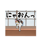 三毛猫とたんぽぽ【修正版】（個別スタンプ：15）