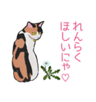 三毛猫とたんぽぽ【修正版】（個別スタンプ：21）