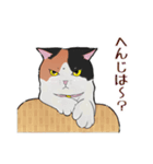 三毛猫とたんぽぽ【修正版】（個別スタンプ：22）