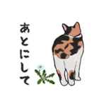 三毛猫とたんぽぽ【修正版】（個別スタンプ：27）