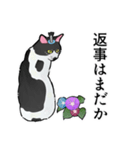 ヒゲねこと朝顔【修正版】（個別スタンプ：23）