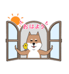 いらすとわん【柴犬】日常編（個別スタンプ：1）