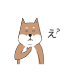 いらすとわん【柴犬】日常編（個別スタンプ：6）