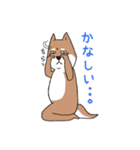 いらすとわん【柴犬】日常編（個別スタンプ：16）