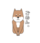 いらすとわん【柴犬】日常編（個別スタンプ：17）