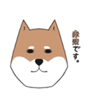 いらすとわん【柴犬】日常編（個別スタンプ：20）