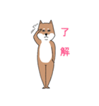 いらすとわん【柴犬】日常編（個別スタンプ：25）