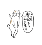 まったりごろごろ日本猫7・大人的日常（個別スタンプ：2）