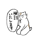 まったりごろごろ日本猫7・大人的日常（個別スタンプ：13）