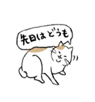 まったりごろごろ日本猫7・大人的日常（個別スタンプ：17）