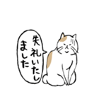 まったりごろごろ日本猫7・大人的日常（個別スタンプ：19）