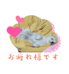 ちゃこですが何か？（個別スタンプ：8）