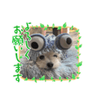 ちゃこですが何か？（個別スタンプ：9）