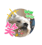 ちゃこですが何か？（個別スタンプ：15）
