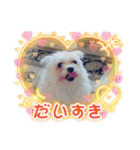 ちゃこですが何か？（個別スタンプ：17）