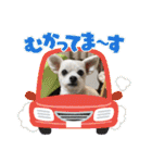 ちゃこですが何か？（個別スタンプ：26）