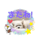 ちゃこですが何か？（個別スタンプ：28）
