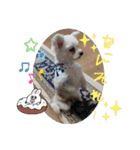ちゃこですが何か？（個別スタンプ：32）