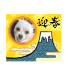ちゃこですが何か？（個別スタンプ：39）