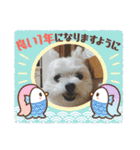 ちゃこですが何か？（個別スタンプ：40）